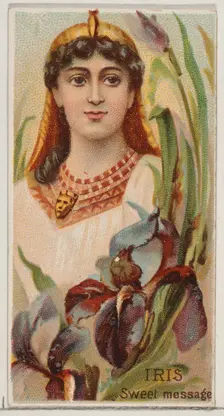 Iris: Sweet Message, from the series Floral Beauties and Language of Flowers (N75) for Duk..., 1892. Creator: Donaldson Brothers