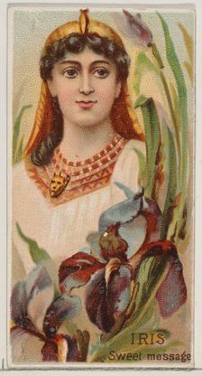 Iris: Sweet Message, from the series Floral Beauties and Language of Flowers (N75) for Duk..., 1892. Creator: Donaldson Brothers
