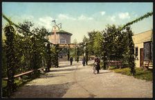 Irkutsk Country garden. "The Tsar's Maiden", 1904-1914. Creator: Unknown