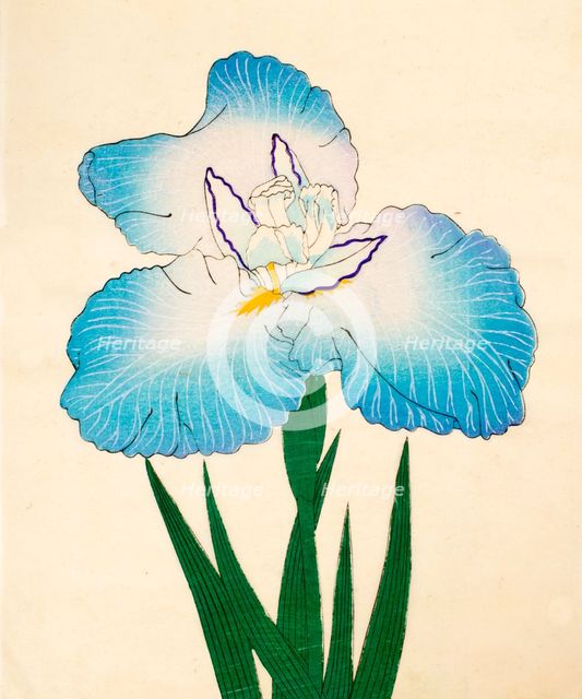 Irojiman, No. 80, 1890, (colour woodblock print)