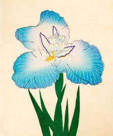 Irojiman, No. 80, 1890, (colour woodblock print)