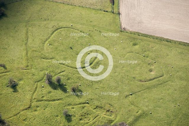 Iron Age and Romano British settlement remains, Cranborne Chase, Wiltshire, 2016. Creator: Damian Grady.