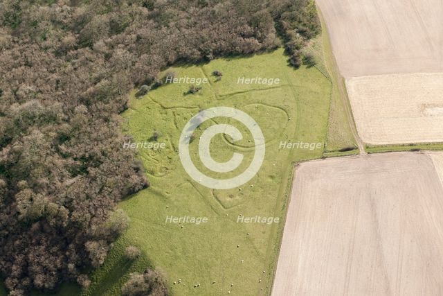 Iron Age and Romano British settlement remains, Cranborne Chase, Wiltshire, 2016. Creator: Damian Grady.