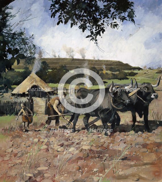 Iron Age arable cultivation, Old Oswestry Hill Fort, Shropshire, (c1990-2010).  Artist: Ivan Lapper.