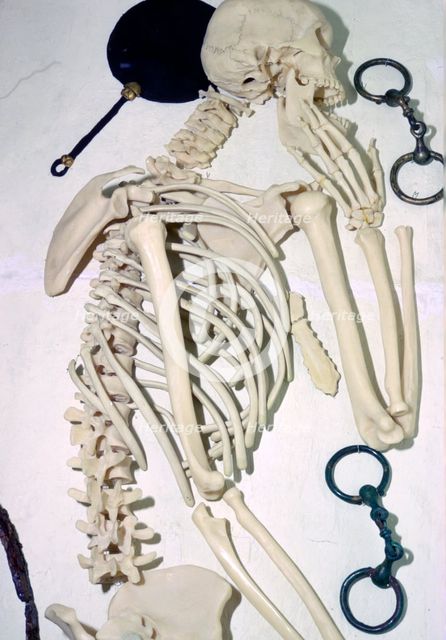 Iron Age British Female Chariot Burial. Artist: Unknown