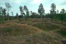 Iron Age burial mounds in Sweden