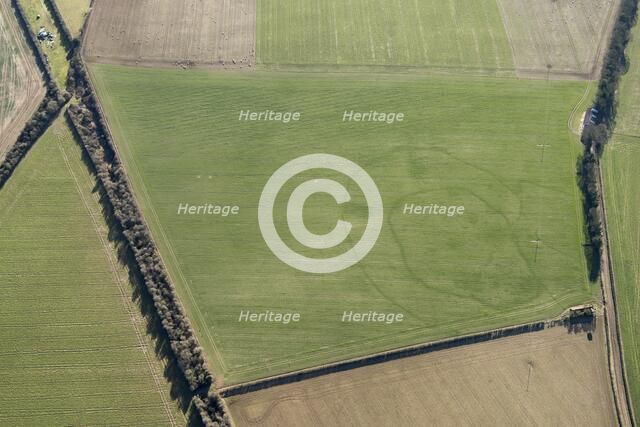 Iron Age double ditched enclosure crop mark, near South Wonston, Hampshire, 2018. Creator: Historic England Staff Photographer.