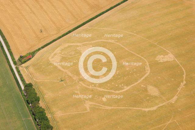 Iron Age double ditched enclosure crop mark, near South Wonston, Hampshire, 2015. Creator: Historic England.