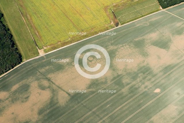 Iron Age square barrow cemetery crop mark on Haisthorpe Moor, East Riding of Yorkshire, 2018. Creator: Historic England.