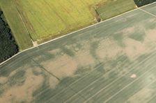 Iron Age square barrow cemetery crop mark on Haisthorpe Moor, East Riding of Yorkshire, 2018. Creator: Historic England