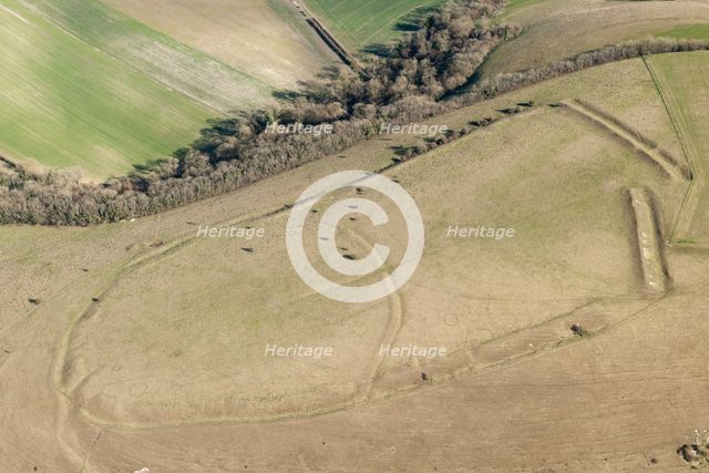 Iron Age univallate hillfort earthwork on Winklebury Hill, Wiltshire, 2016. Creator: Damian Grady.