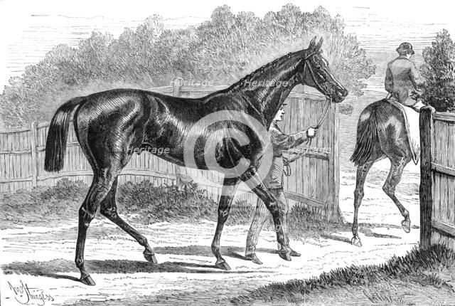 Iroquois, the winner of the Derby, 1881. Creator: Crane.