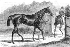 Iroquois, the winner of the Derby, 1881. Creator: Crane