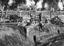 Irrigating fields near Cairo, Egypt, c1920s