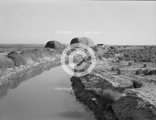 Irrigation canal and the preacher's farm, Dead Ox Flat, Malheur County, Oregon, 1939. Creator: Dorothea Lange.
