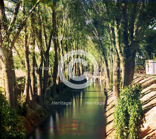 Irrigation canal (aryk) in the Murgab Estate, between 1905 and 1915. Creator: Sergey Mikhaylovich Prokudin-Gorsky.