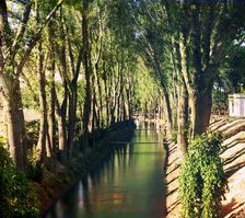 Irrigation canal (aryk) in the Murgab Estate, between 1905 and 1915. Creator: Sergey Mikhaylovich Prokudin-Gorsky