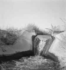 Irrigation canal seven miles west of Nyssa, Malheur County, Oregon, 1939. Creator: Dorothea Lange