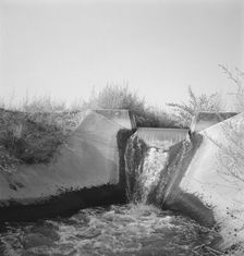 Irrigation canal seven miles west of Nyssa, Malheur County, Oregon, 1939. Creator: Dorothea Lange