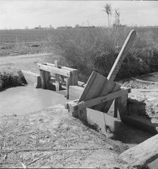 Irrigation ditch alongside the road, Imperial Valley, California, 1937. Creator: Dorothea Lange