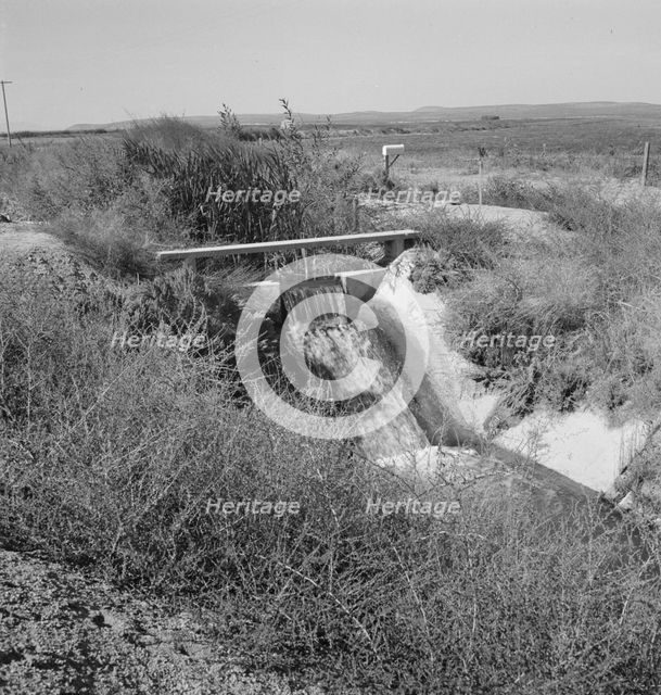 Irrigation ditch, showing drop in canal, Dead Ox Flat, Malheur County, Oregon, 1939. Creator: Dorothea Lange.