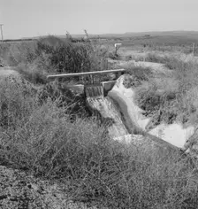 Irrigation ditch, showing drop in canal, Dead Ox Flat, Malheur County, Oregon, 1939. Creator: Dorothea Lange