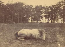 Is This Death - Antietam Battlefield, September 1862, 1862. Creator: Alexander Gardner