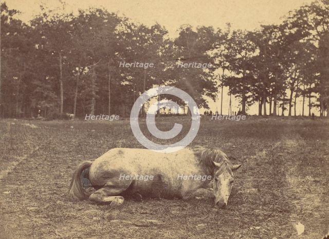 Is This Death - Antietam Battlefield, September 1862, 1862. Creator: Alexander Gardner.