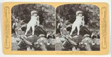Ise fraid my Dollie will be drownded, 1870/89. Creator: Henry Hamilton Bennett