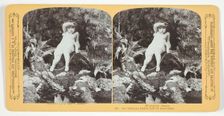 Ise fraid my Dollie will be drownded, 1870/89. Creator: Henry Hamilton Bennett