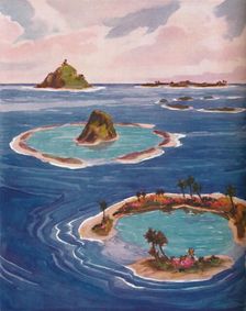 Islands Formed By Tiny Marine Creatures 1935