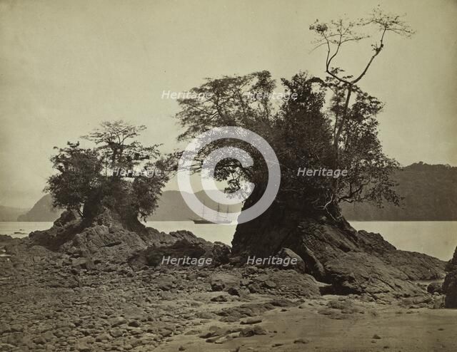 Islands in Limón Bay, 1871. Creator: John Moran (American, 1829-1902).