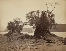 Islands in Limón Bay, 1871. Creator: John Moran (American, 1829-1902)