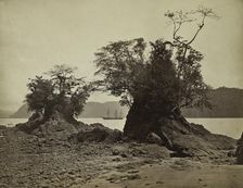 Islands in Limón Bay, 1871. Creator: John Moran (American, 1829-1902)