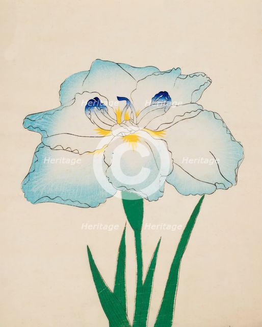 Issui-No-Gin, No. 34, 1890, (colour woodblock print)