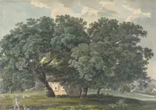 Italian Landscape with Trees (recto), 1815-21. Creator: Friedrich Salathe