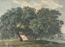 Italian Landscape with Trees (recto), 1815-21. Creator: Friedrich Salathe