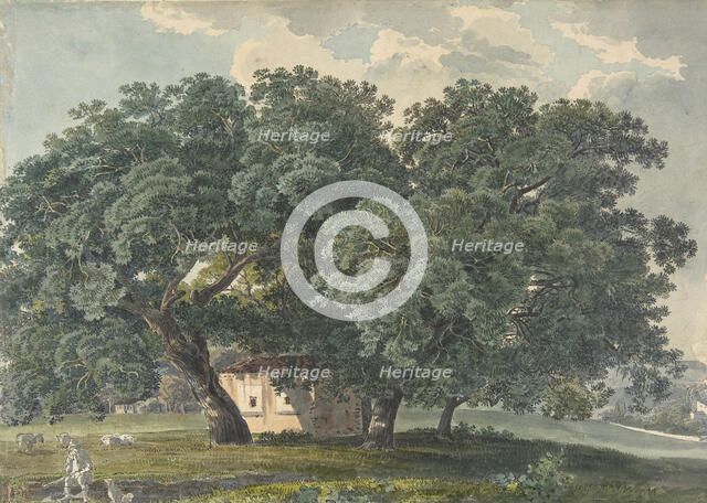 Italian Landscape with Trees (recto), 1815-21. Creator: Friedrich Salathe.