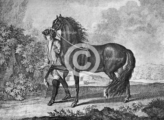 Italian Neapolitan horse, 1722 (1938). Artist: Unknown