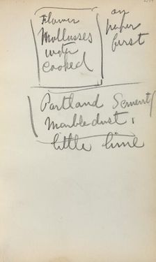 Italian Sketchbook: Notes (page 244), 1898-1899. Creator: Maurice Prendergast (American, 1858-1924)