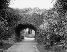 Ivy arch bridge in Delaware Park, Buffalo, N.Y., c1908. Creator: Unknown