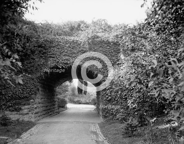 Ivy arch bridge in Delaware Park, Buffalo, N.Y., c1908. Creator: Unknown.