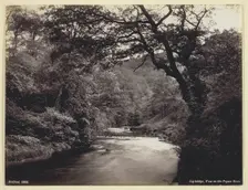 Ivy Bridge, View on the Prysor River, 1860/94. Creator: Francis Bedford