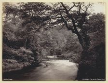 Ivy Bridge, View on the Prysor River, 1860/94. Creator: Francis Bedford