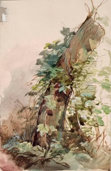 Ivy Covered Tree Stump, c1840s. Creator: John Phillip