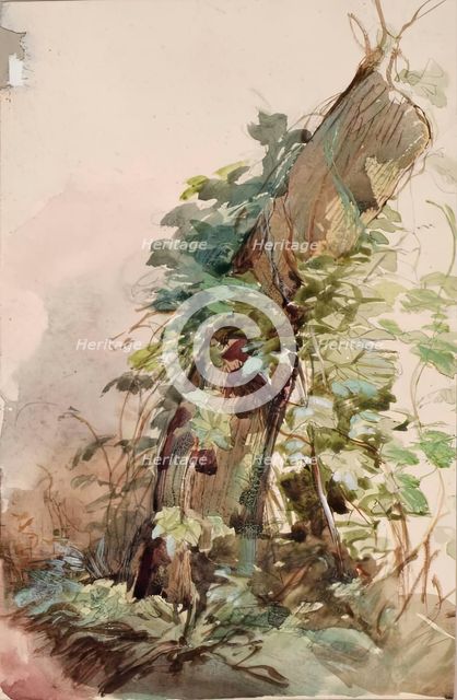 Ivy Covered Tree Stump, c1840s. Creator: John Phillip.