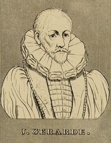 J. Gerarde (c1545-1612), 1830. Creator: Unknown