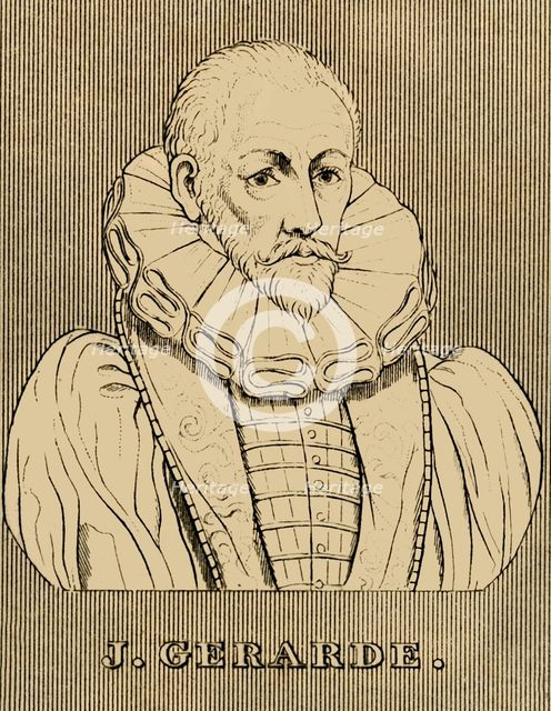 'J. Gerarde', (c1545-1612), 1830. Creator: Unknown.