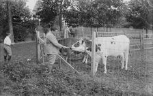 J. McCormack, between c1915 and c1920. Creator: Bain News Service