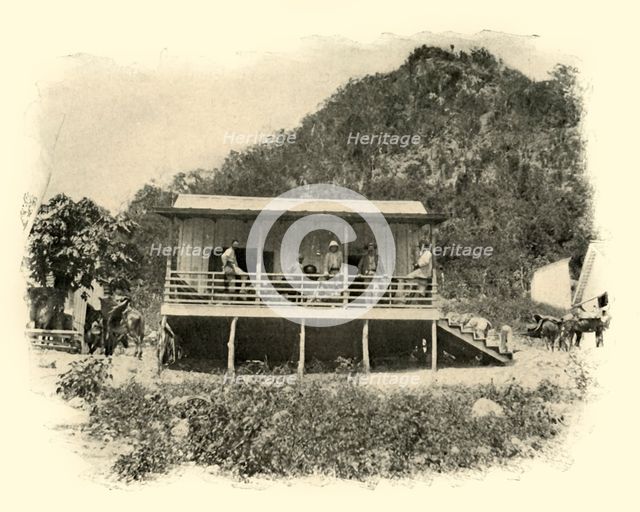 "Journal" Headquarters, Daiquiri', Spanish-American War, June 1898, (1899).  Creator: Burr McIntosh.
